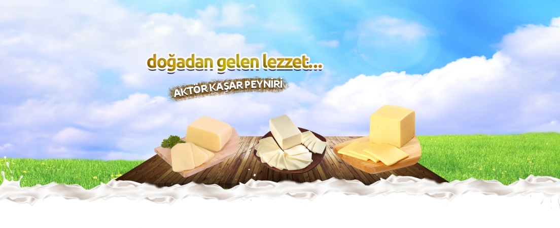 Aktör Tereyağları |Süt ve Süt Ürünleri |Toptan Satış